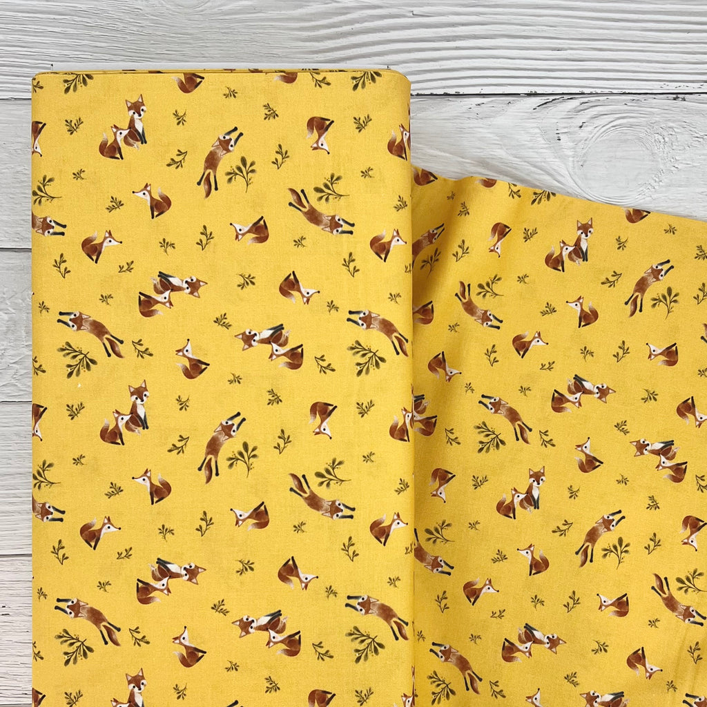 Foxy - Foxy in Saffron