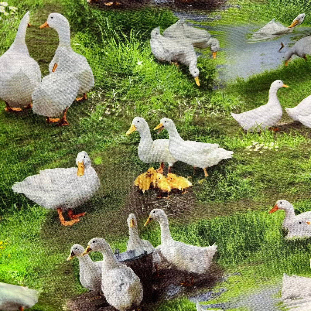 Farm Animals - Ducks in Green