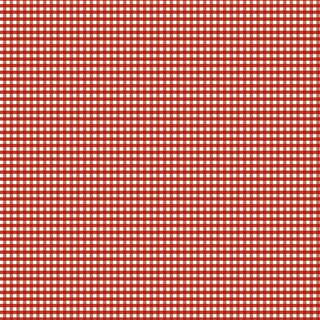 1/8" Gingham -Barn Red