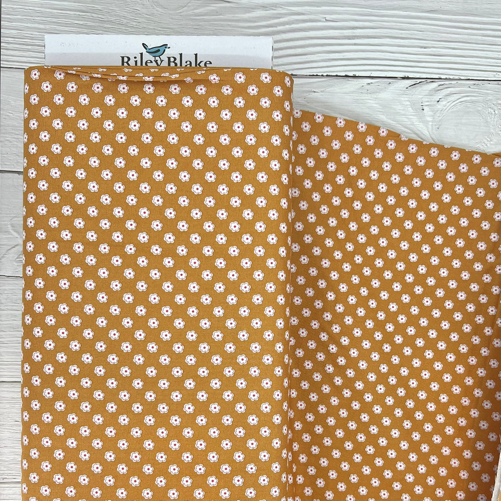 Bee Dots - Verona in Cider