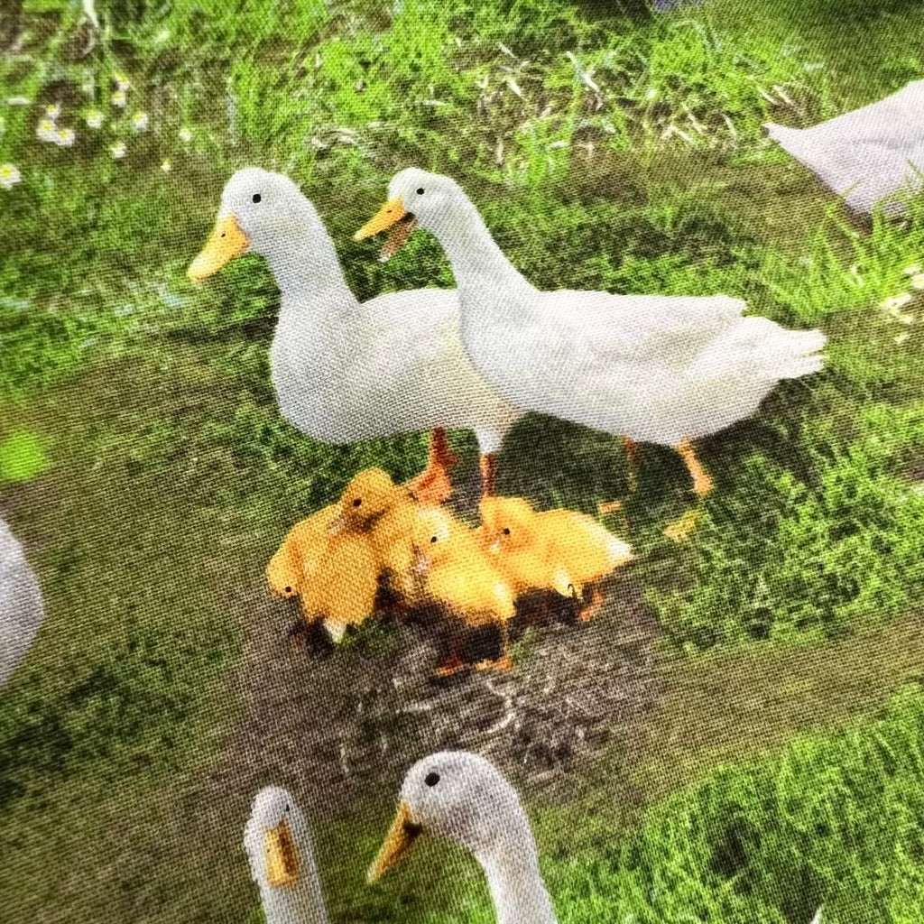 Farm Animals - Ducks in Green