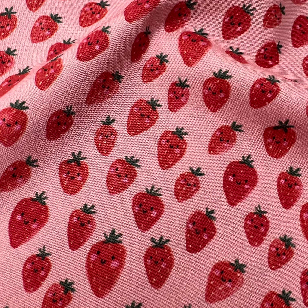 Happy Fruit - Strawberries