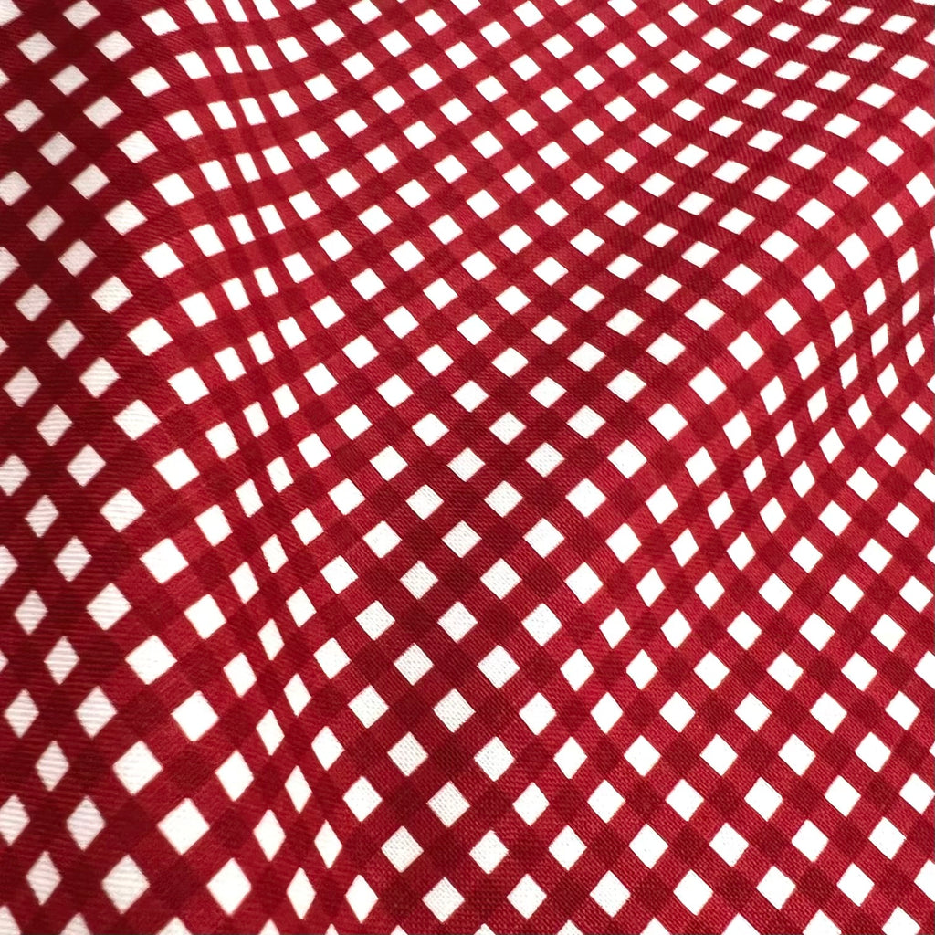 1/8" Gingham -Barn Red