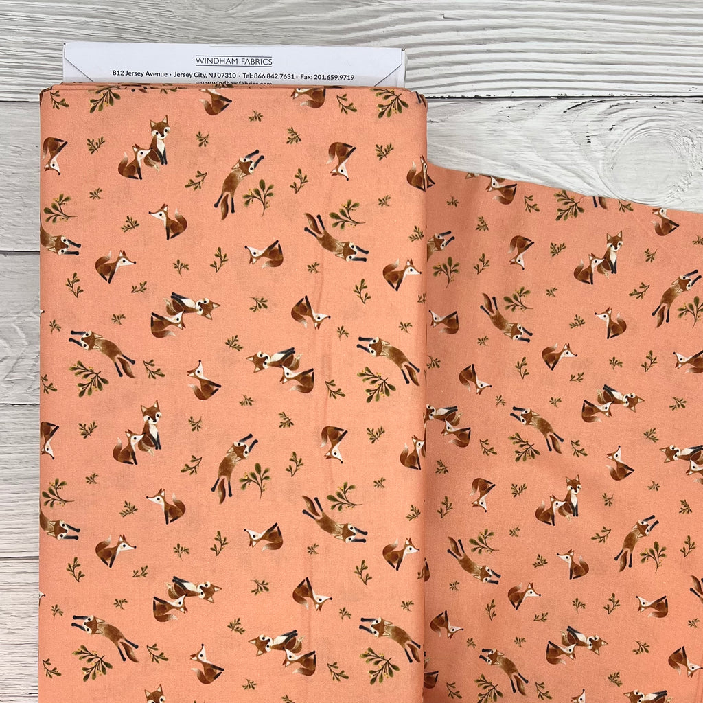 Foxy - Foxy in Salmon