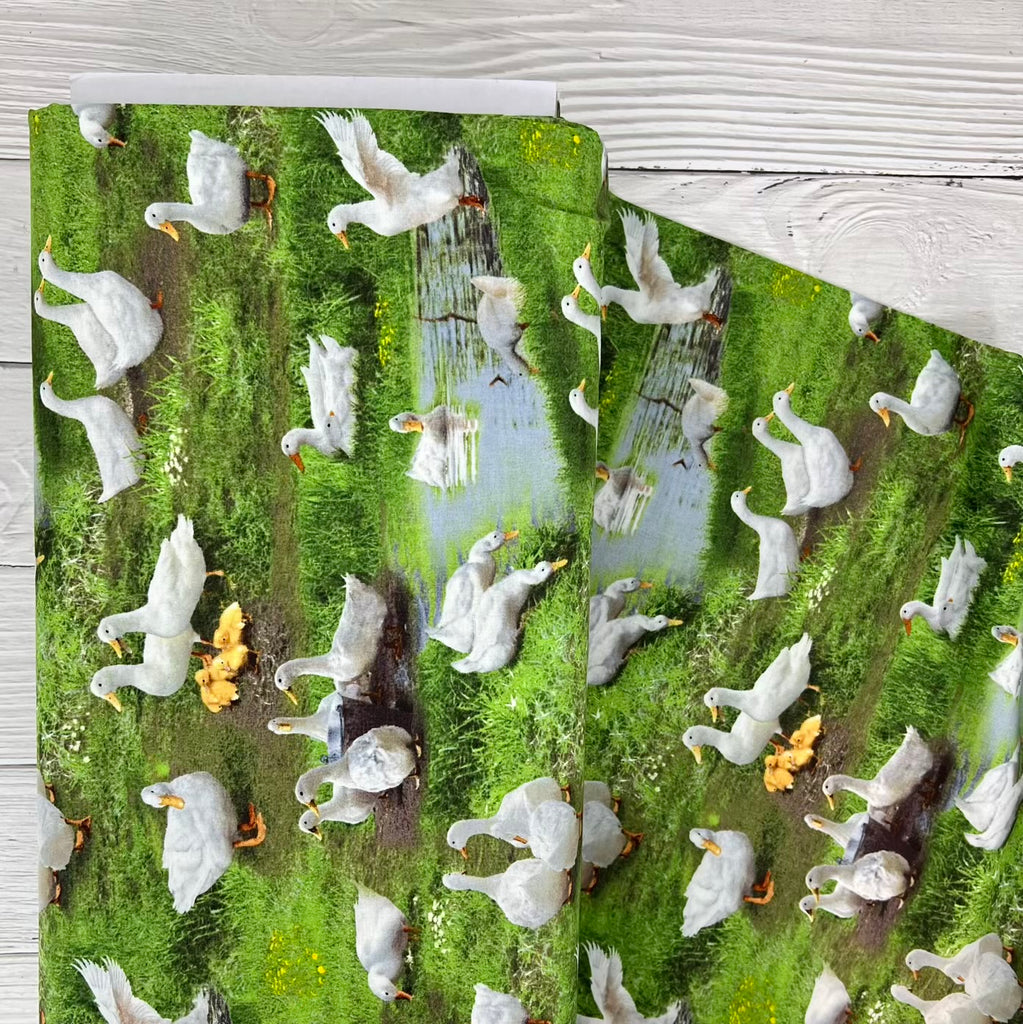 Farm Animals - Ducks in Green