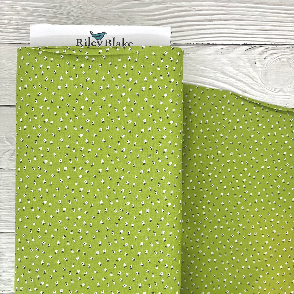 Bee Dots - Lillian in Lettuce
