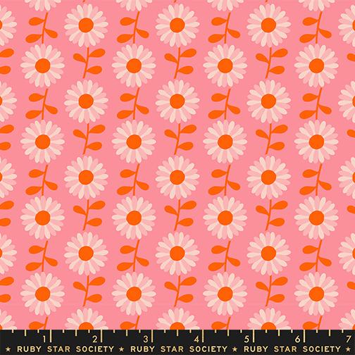 Flowerland - Field of Flowers in Sorbet