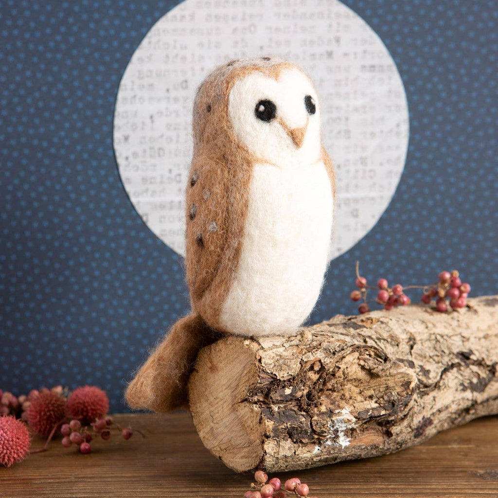 Barn Owl Needle Felting Kit