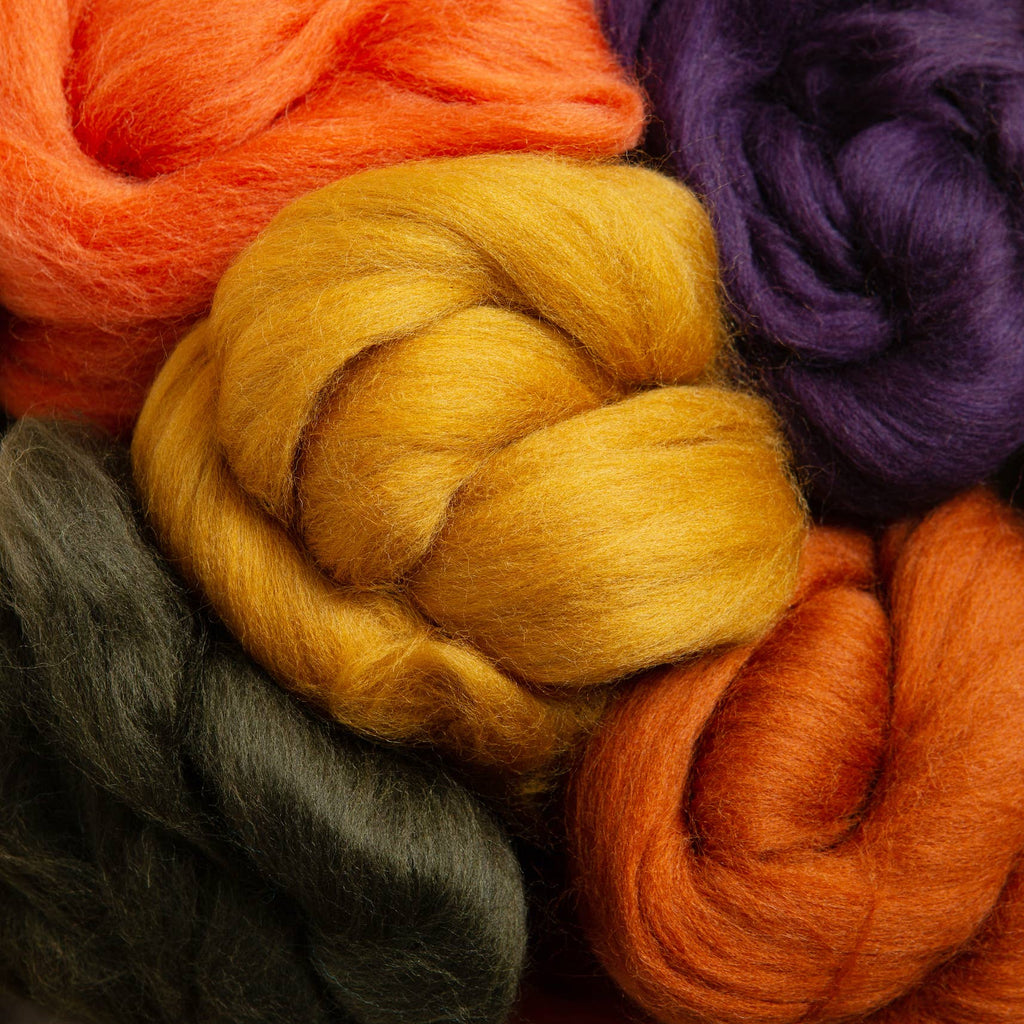 Wool Roving Bundle - Autumn Colors