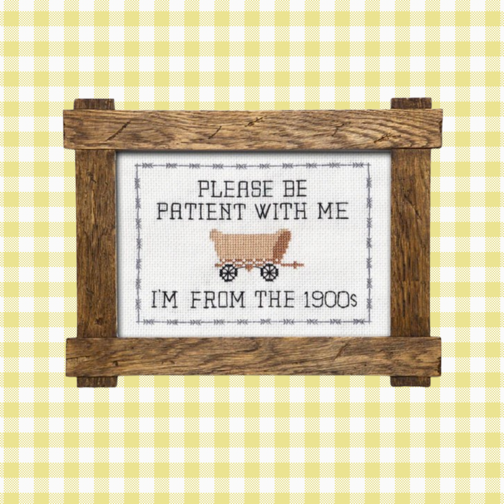 Please Be Patient With Me Cross Stitch Kit