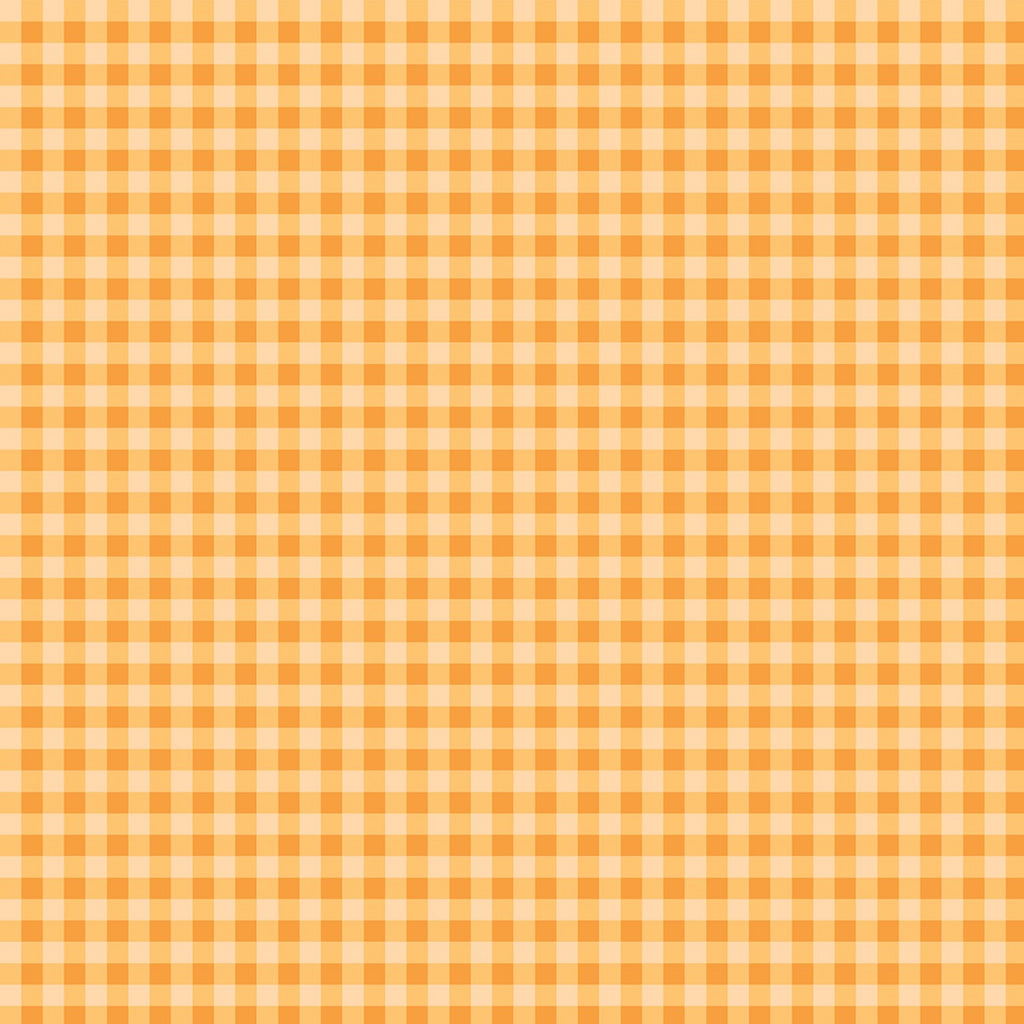 Strawberry Honey - Gingham in Creamsicle