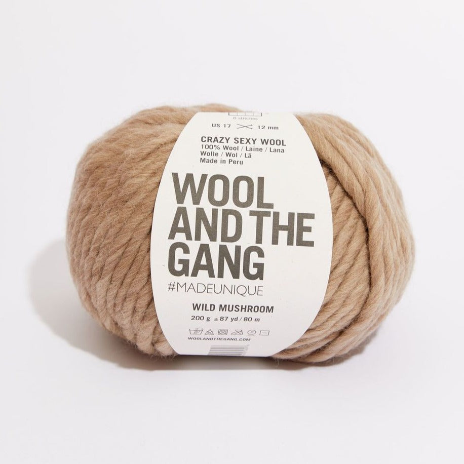 Crazy Sexy Wool by Wool & The Gang | The Crafternoon Shoppe