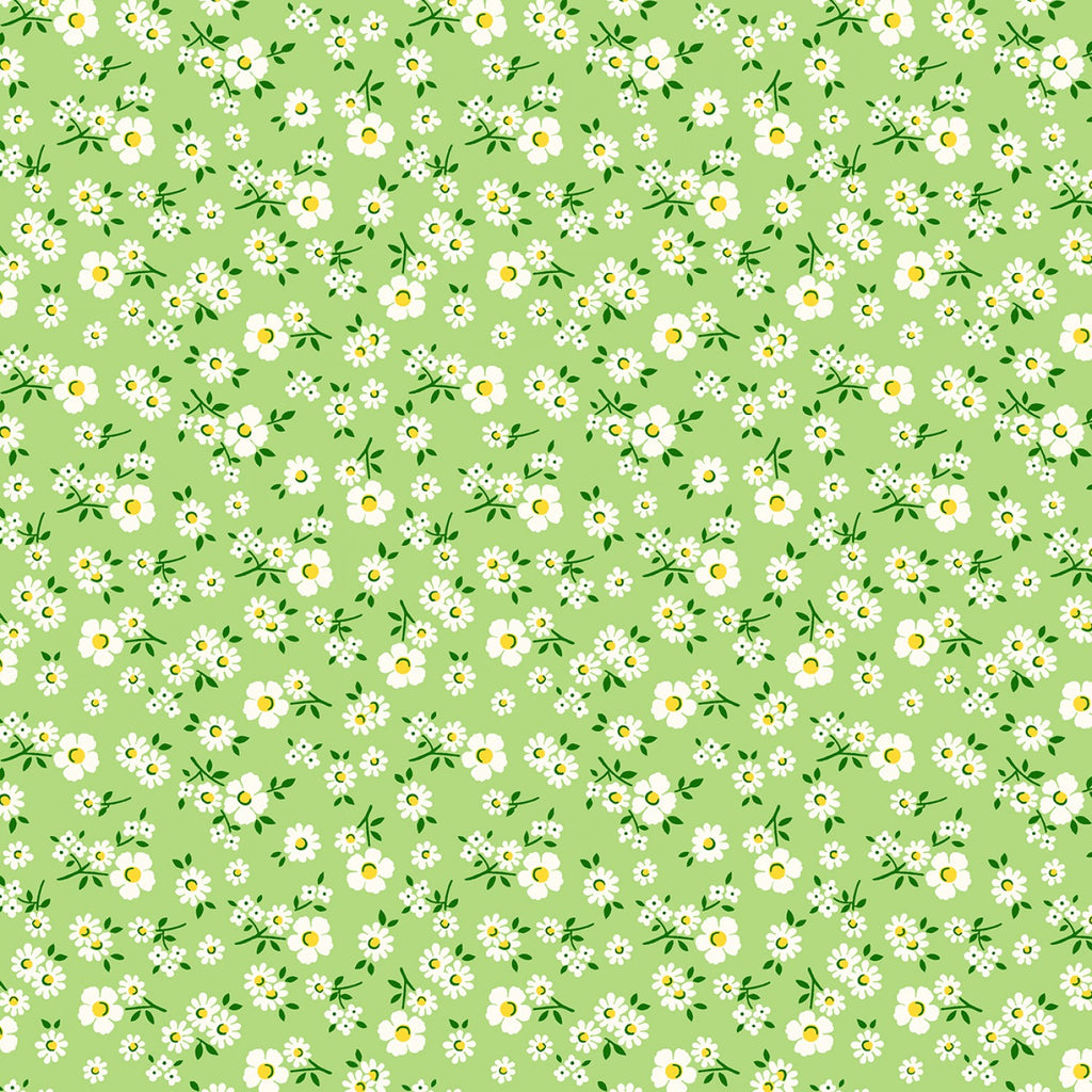 Sugarcube - Green Falling Daisies