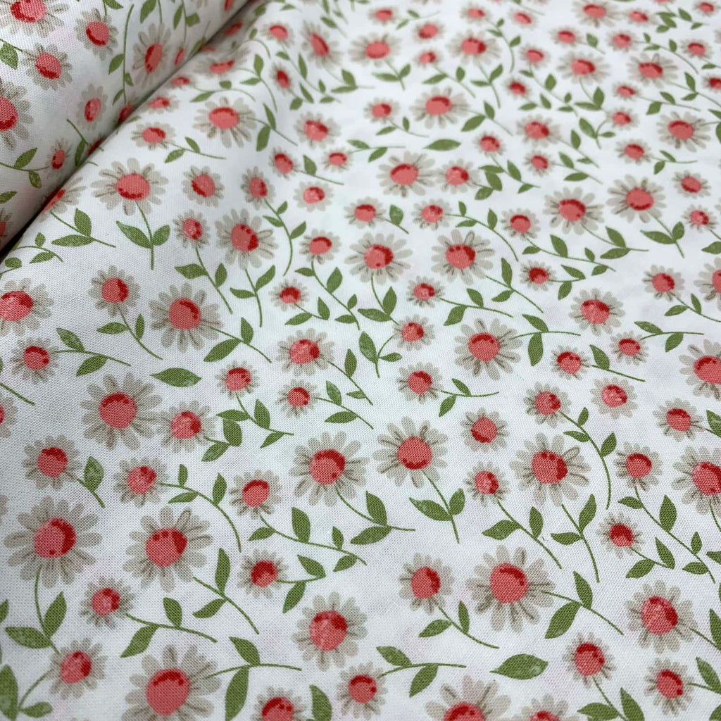 Love Note - Sweet Daisy in Cloud