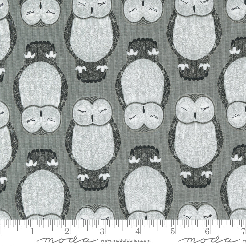 Nocturnal - Sleeping Owls in Raincloud